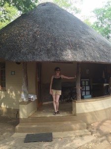 You will notice that the fridge has a cage over it - this is to stop monkeys stealing things out of the fridge... Bad luck Clyde