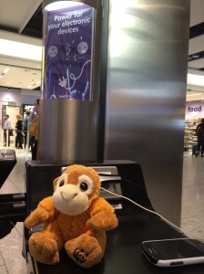 Joke of the day - what did the elephant do when he was going on holiday?  Packed his trunk :-)