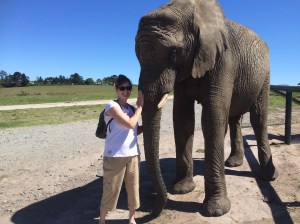 Thandi means 'love' in Zulu She became the first born elephant in the park in 2003 - Nandi is her mother She can be rather bossy and is a bit of. Show off Although Keisha is prob my favourite, Thandi comes a close second as she is a lot of fun :-)